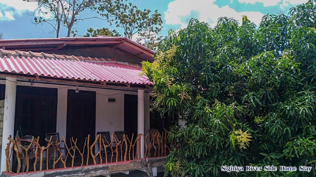The Sigiri Roar Apartment Sigiriya Exterior photo