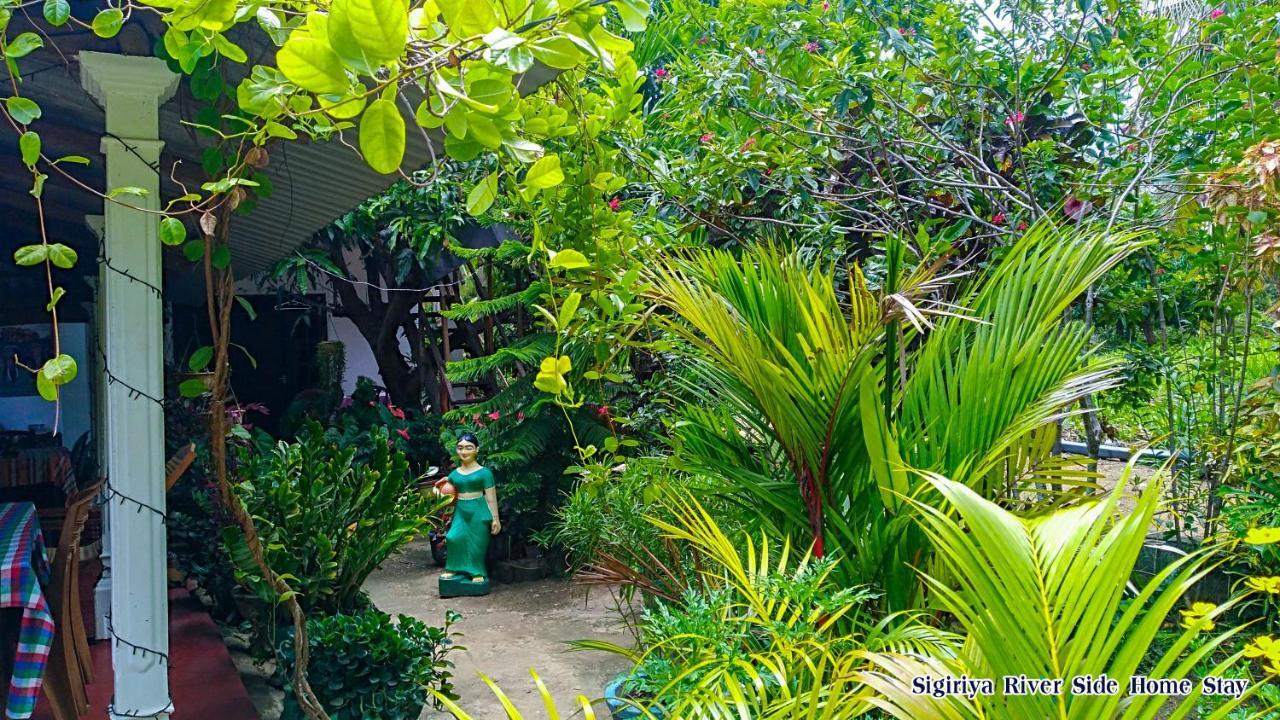 The Sigiri Roar Apartment Sigiriya Exterior photo