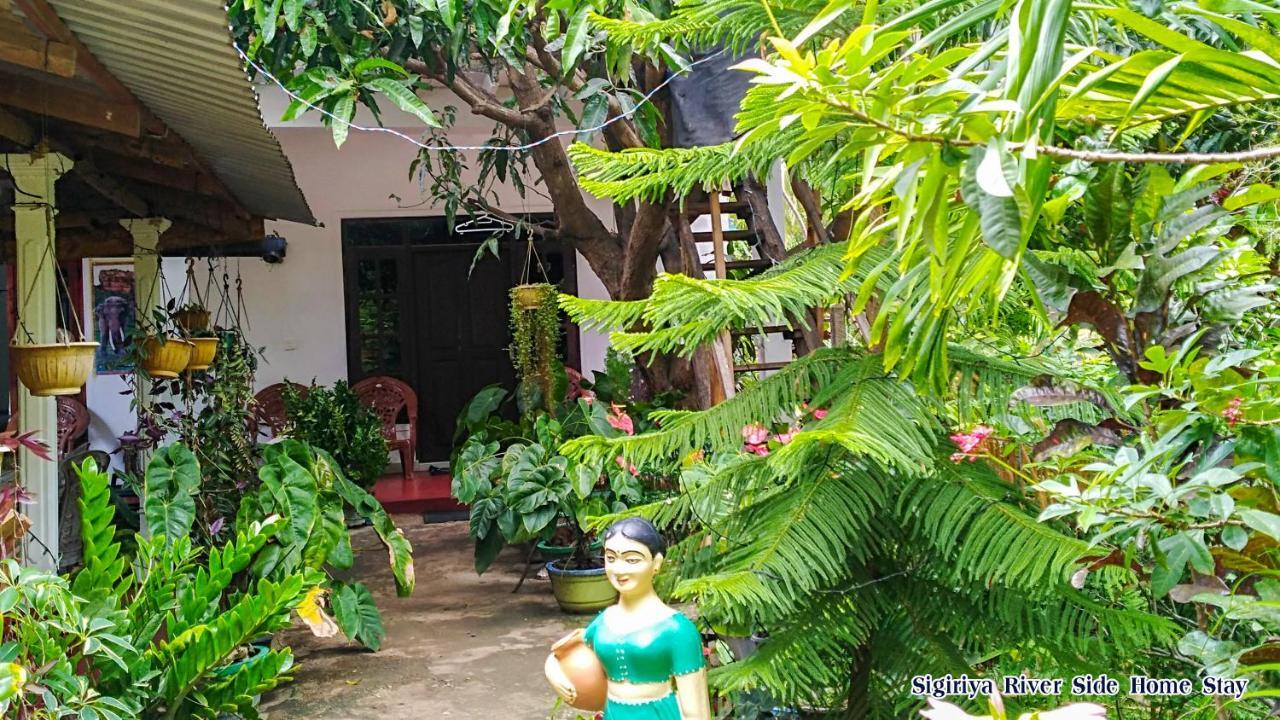 The Sigiri Roar Apartment Sigiriya Exterior photo