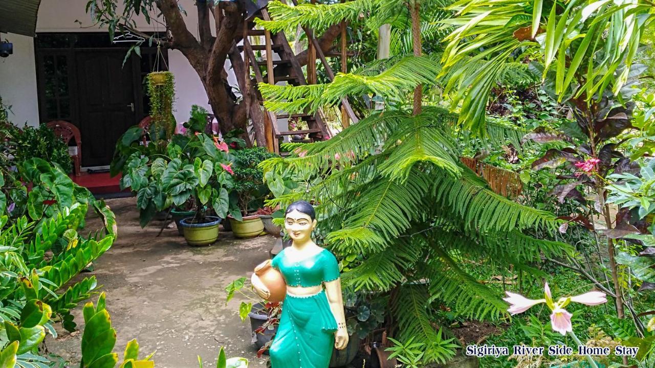 The Sigiri Roar Apartment Sigiriya Exterior photo