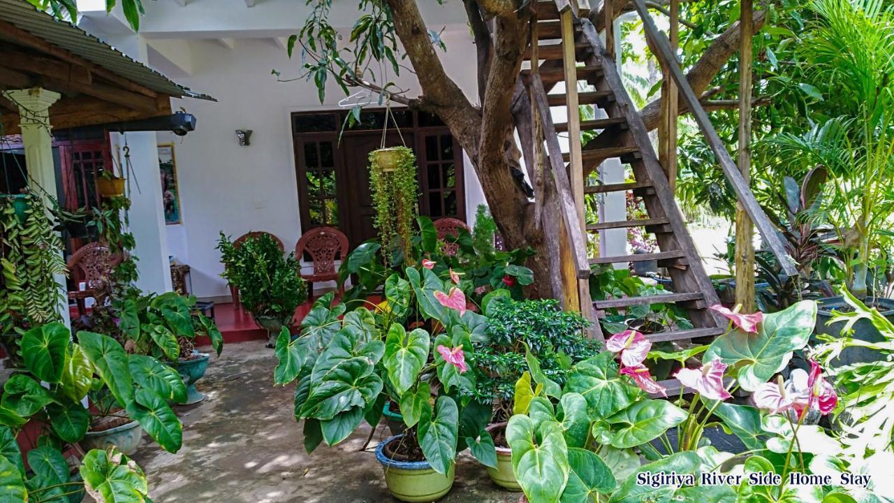 The Sigiri Roar Apartment Sigiriya Exterior photo