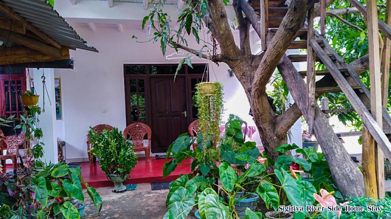 The Sigiri Roar Apartment Sigiriya Exterior photo